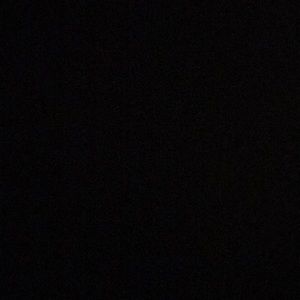 Meet your Posher, Lily